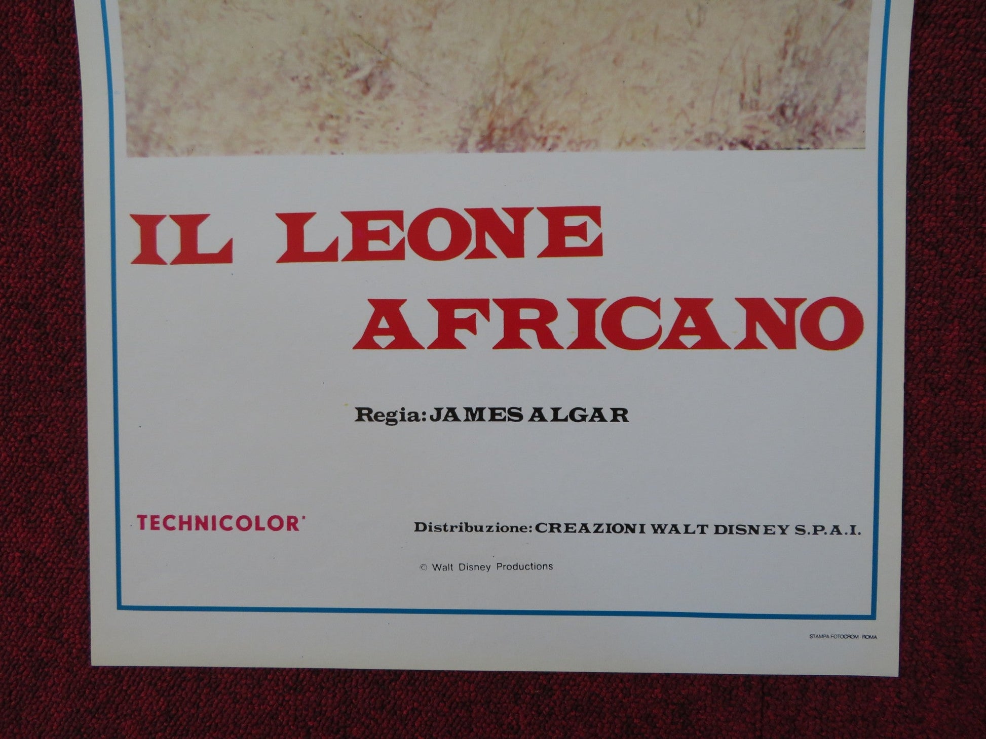 THE AFRICAN LION ITALIAN LOCANDINA POSTER DISNEY JAMES ALGAR 1957 Rendezvous Cinema Movie posters