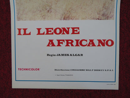 THE AFRICAN LION ITALIAN LOCANDINA POSTER DISNEY JAMES ALGAR 1957 Rendezvous Cinema Movie posters