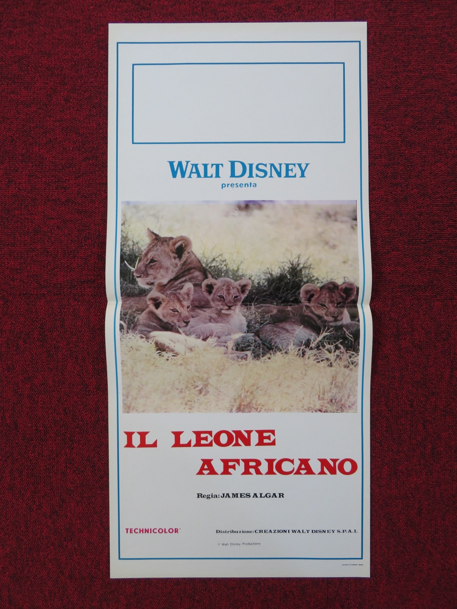 THE AFRICAN LION ITALIAN LOCANDINA POSTER DISNEY JAMES ALGAR 1957 Rendezvous Cinema Movie posters