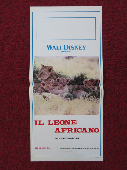 THE AFRICAN LION ITALIAN LOCANDINA POSTER DISNEY JAMES ALGAR 1957 Rendezvous Cinema Movie posters