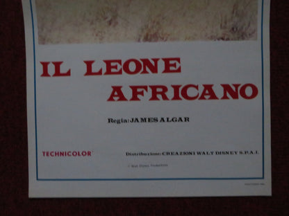 THE AFRICAN LION ITALIAN LOCANDINA POSTER DISNEY WINSTON HIBLER 1957 Rendezvous Cinema Movie posters