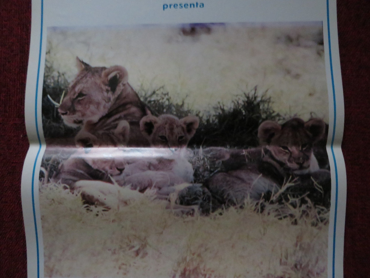 THE AFRICAN LION ITALIAN LOCANDINA POSTER DISNEY WINSTON HIBLER 1957 Rendezvous Cinema Movie posters