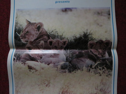 THE AFRICAN LION ITALIAN LOCANDINA POSTER DISNEY WINSTON HIBLER 1957 Rendezvous Cinema Movie posters