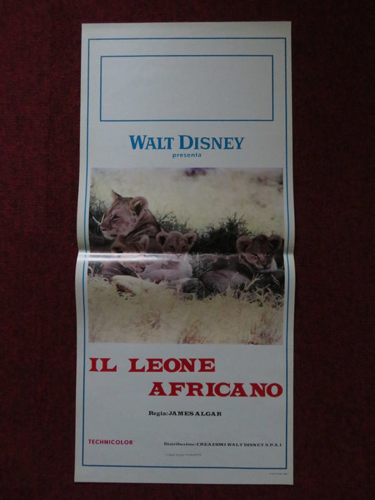THE AFRICAN LION ITALIAN LOCANDINA POSTER DISNEY WINSTON HIBLER 1957 Rendezvous Cinema Movie posters