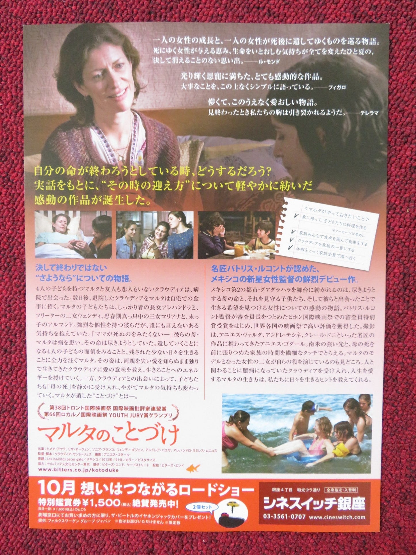 THE AMAZING CATFISH JAPANESE CHIRASHI (B5) POSTER LISA OWEN XIMENA AYALA 2013 Rendezvous Cinema Movie posters