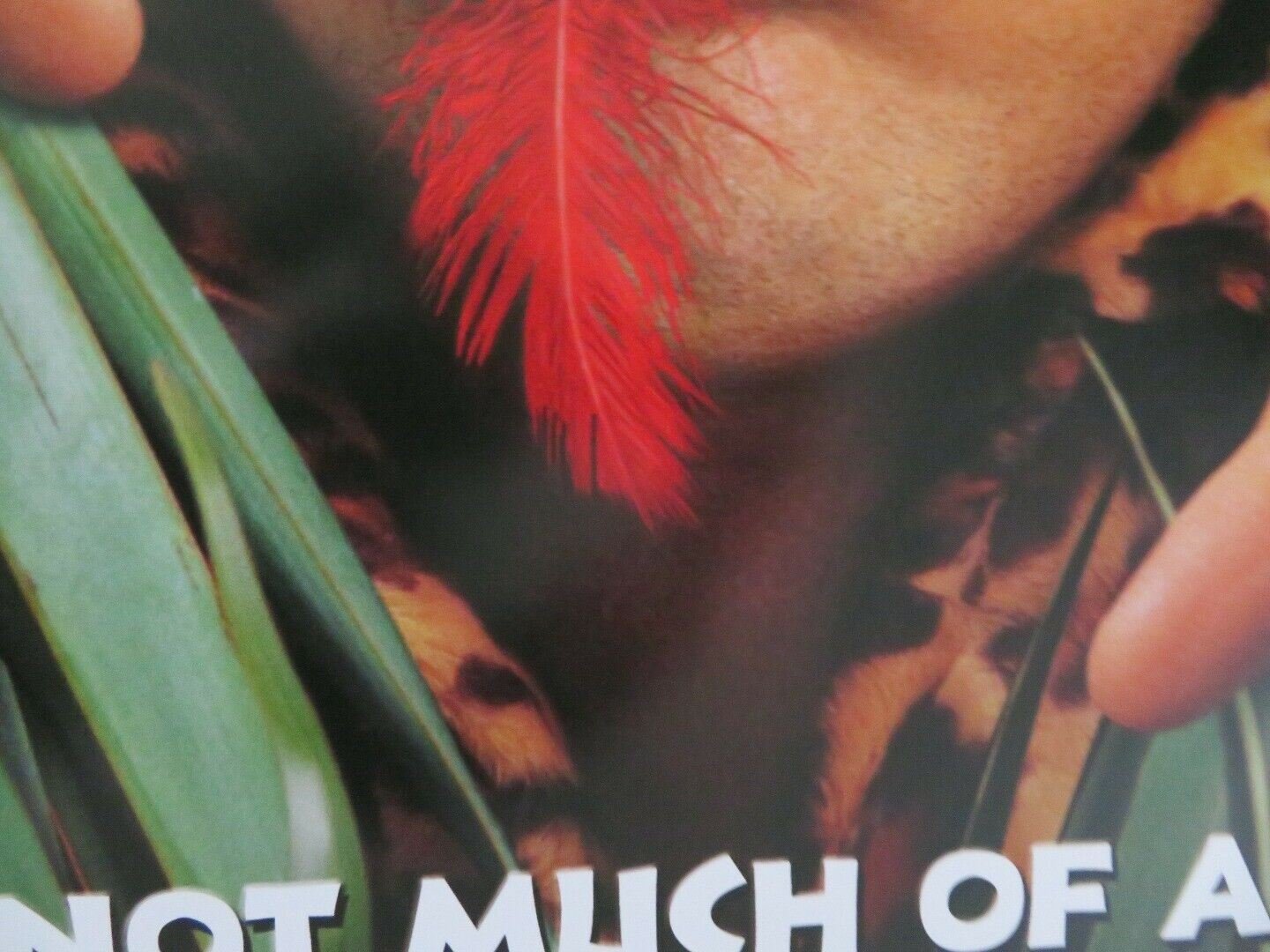 THE ANIMAL US ONE SHEET ROLLED POSTER ROB SCHNEIDER 2001 - Rendezvous Cinema