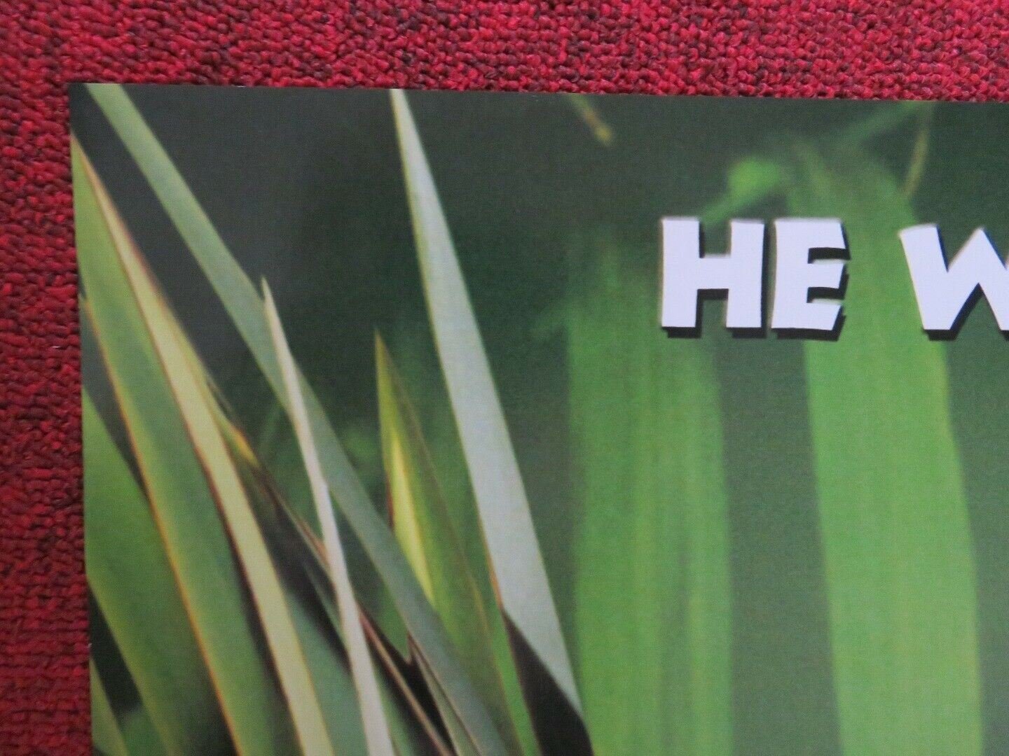 THE ANIMAL US ONE SHEET ROLLED POSTER ROB SCHNEIDER 2001 - Rendezvous Cinema