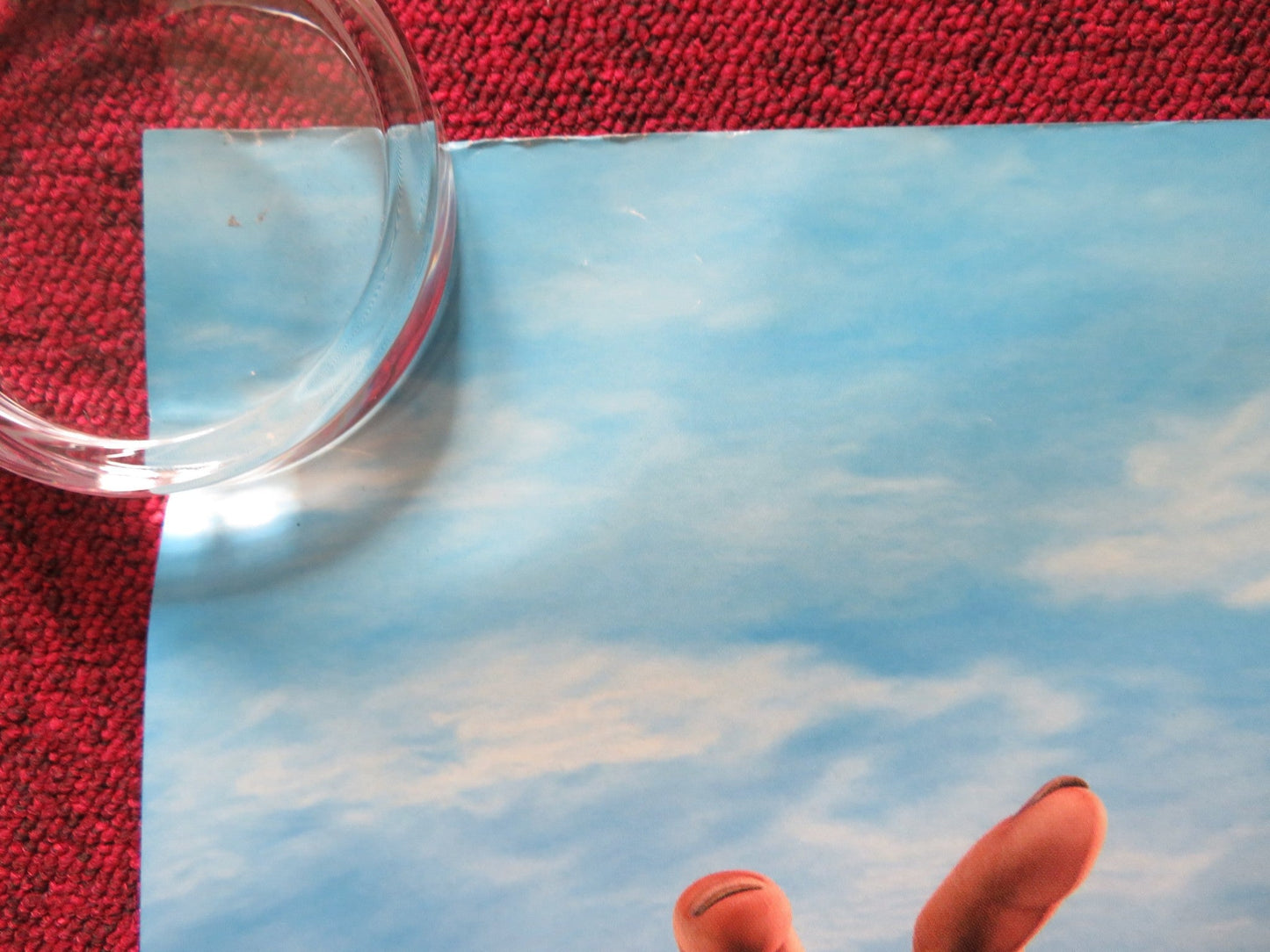 THE ANT BULLY UK QUAD ROLLED POSTER JULIA ROBERTS NICOLAS CAGE 2006 Rendezvous Cinema Movie posters