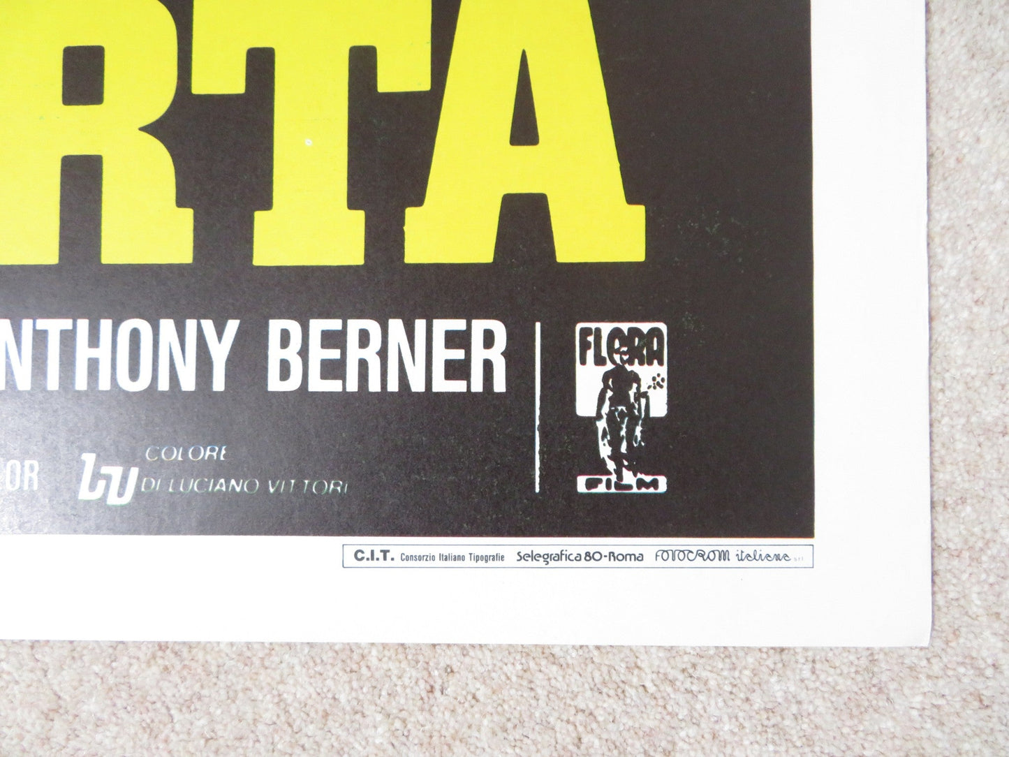 THE ARK OF THE SUN GOD ITALIAN 2 FOGLIO POSTER DAVID WARBECK JOHN STEINER 1984 Rendezvous Cinema Movie posters