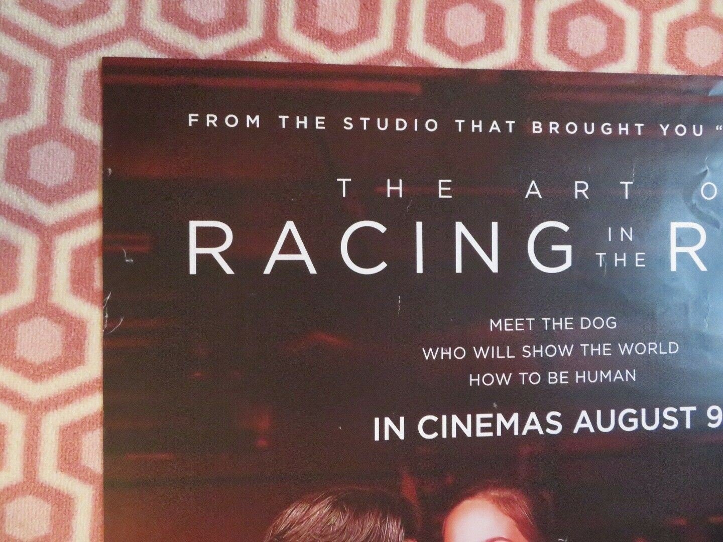 THE ART OF RACING IN THE RAIN UK ONE SHEET (27"x 41")ROLLED POSTER KEVIN COSTNER Movie posters