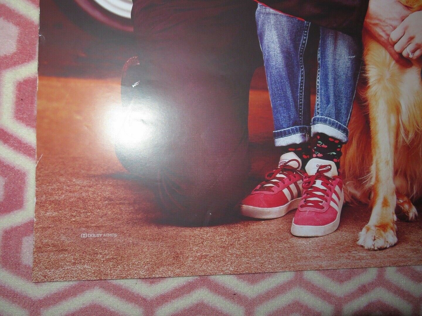 THE ART OF RACING IN THE RAIN UK ONE SHEET (27"x 41")ROLLED POSTER KEVIN COSTNER Movie posters