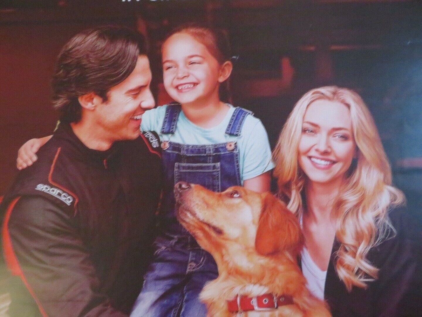 THE ART OF RACING IN THE RAIN UK ONE SHEET (27"x 41")ROLLED POSTER KEVIN COSTNER Movie posters