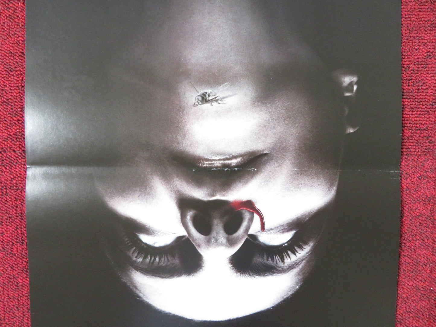 THE AUTOPSY OF JANE DOE ITALIAN LOCANDINA POSTER BRIAN COX EMILE HIRSCH 2016 Rendezvous Cinema Movie posters