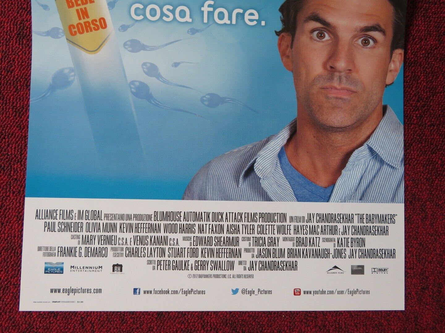 THE BABYMAKERS ITALIAN LOCANDINA (27"x12") POSTER OLIVIA MUNN 2012 Movie posters