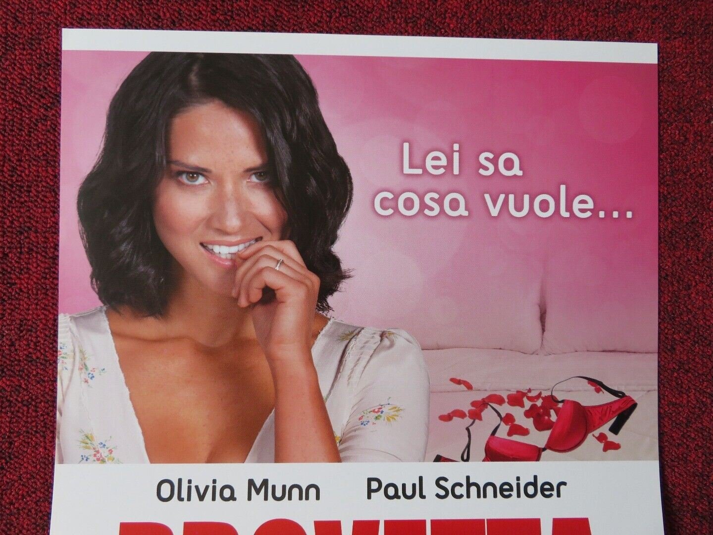 THE BABYMAKERS ITALIAN LOCANDINA (27"x12") POSTER OLIVIA MUNN 2012 Movie posters