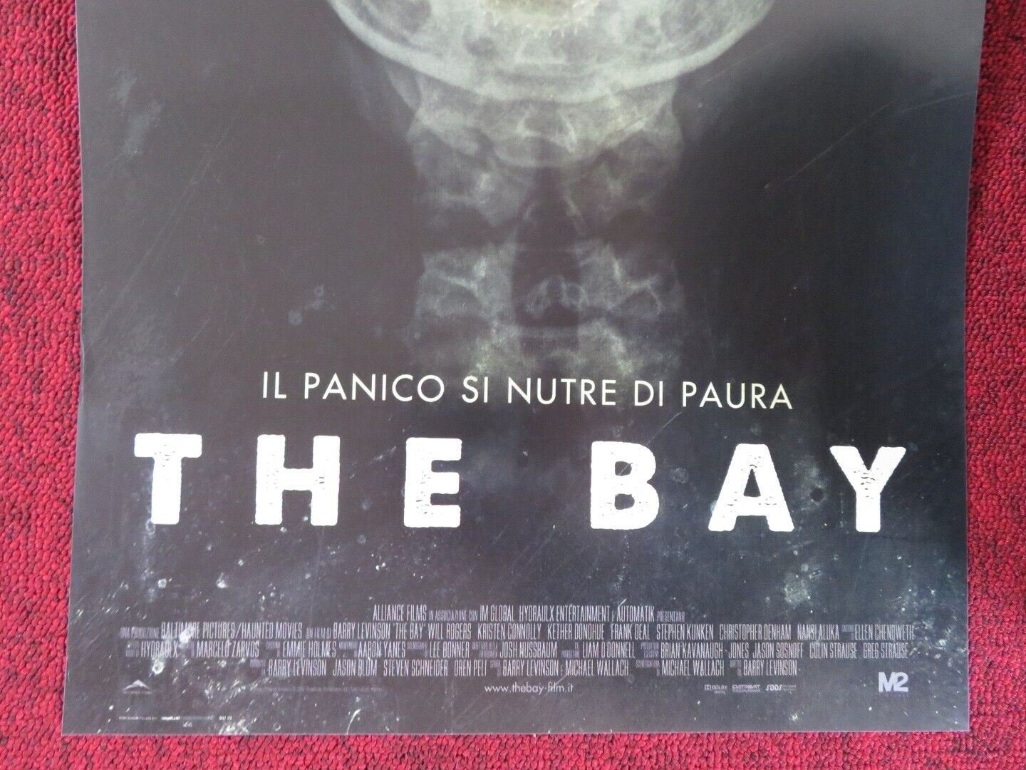 THE BAY ITALIAN LOCANDINA (26.5"x12.5") POSTER BARRY LEVINSON NANSI ALUKA 2012 Movie posters