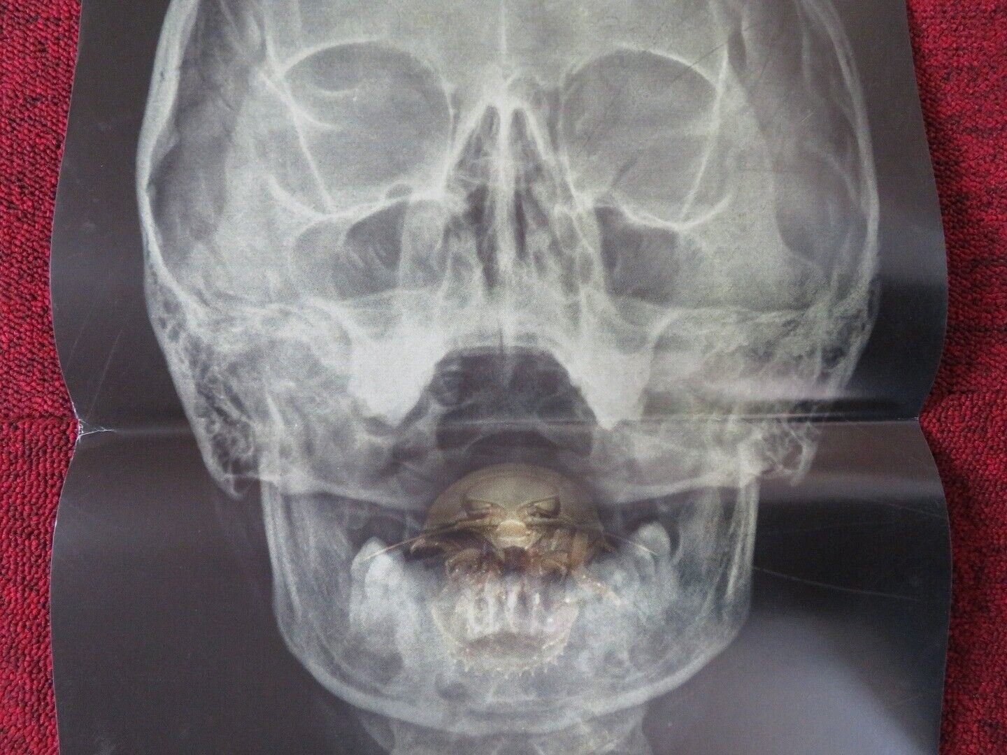 THE BAY ITALIAN LOCANDINA (26.5"x12.5") POSTER BARRY LEVINSON NANSI ALUKA 2012 Movie posters