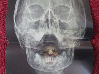 THE BAY ITALIAN LOCANDINA (26.5"x12.5") POSTER BARRY LEVINSON NANSI ALUKA 2012 Movie posters