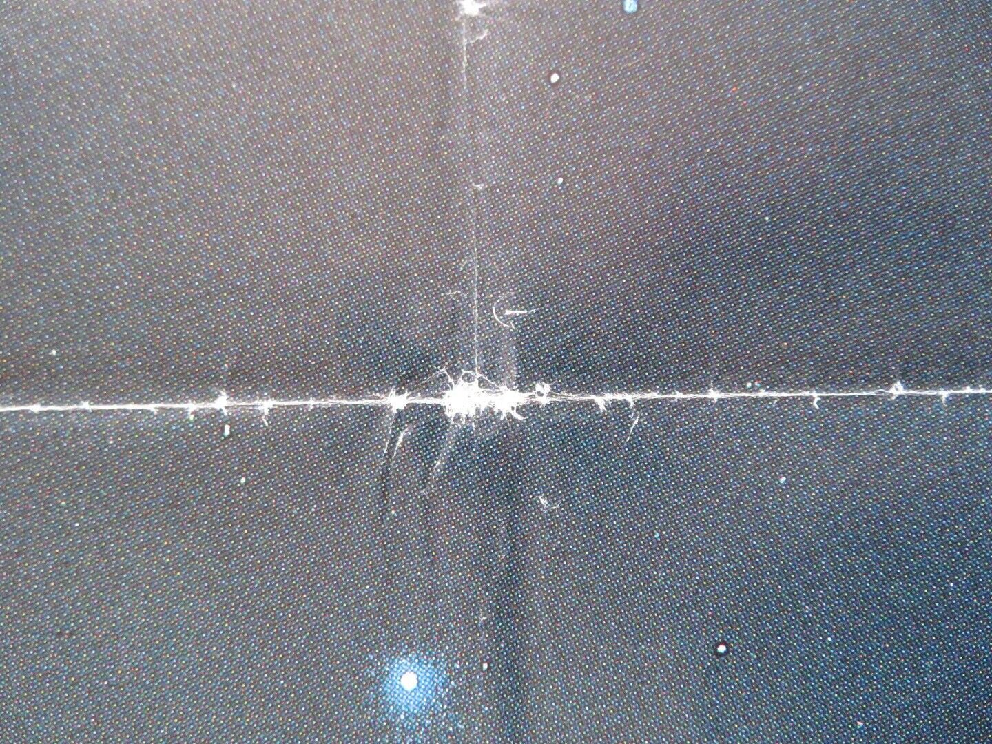 THE BEAR SPANISH ROLLED POSTER JACK WALLACE TCHECKY KARYO 1988 Movie posters