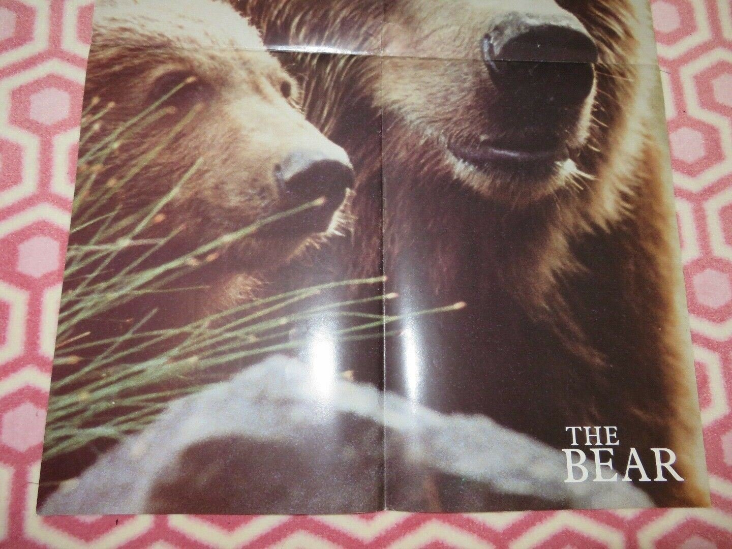 THE BEAR UK DOUBLE CROWN POSTER - b JACK WALLACE 1988 Rendezvous Cinema Movie posters