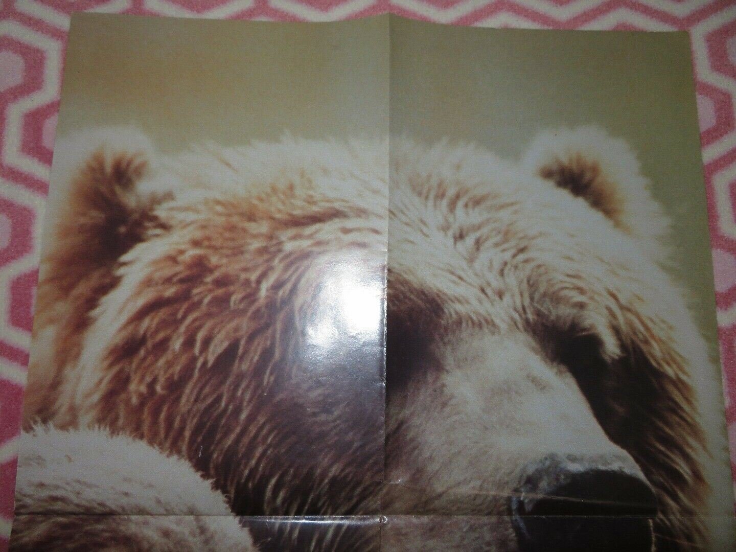 THE BEAR UK DOUBLE CROWN POSTER - b JACK WALLACE 1988 Rendezvous Cinema Movie posters