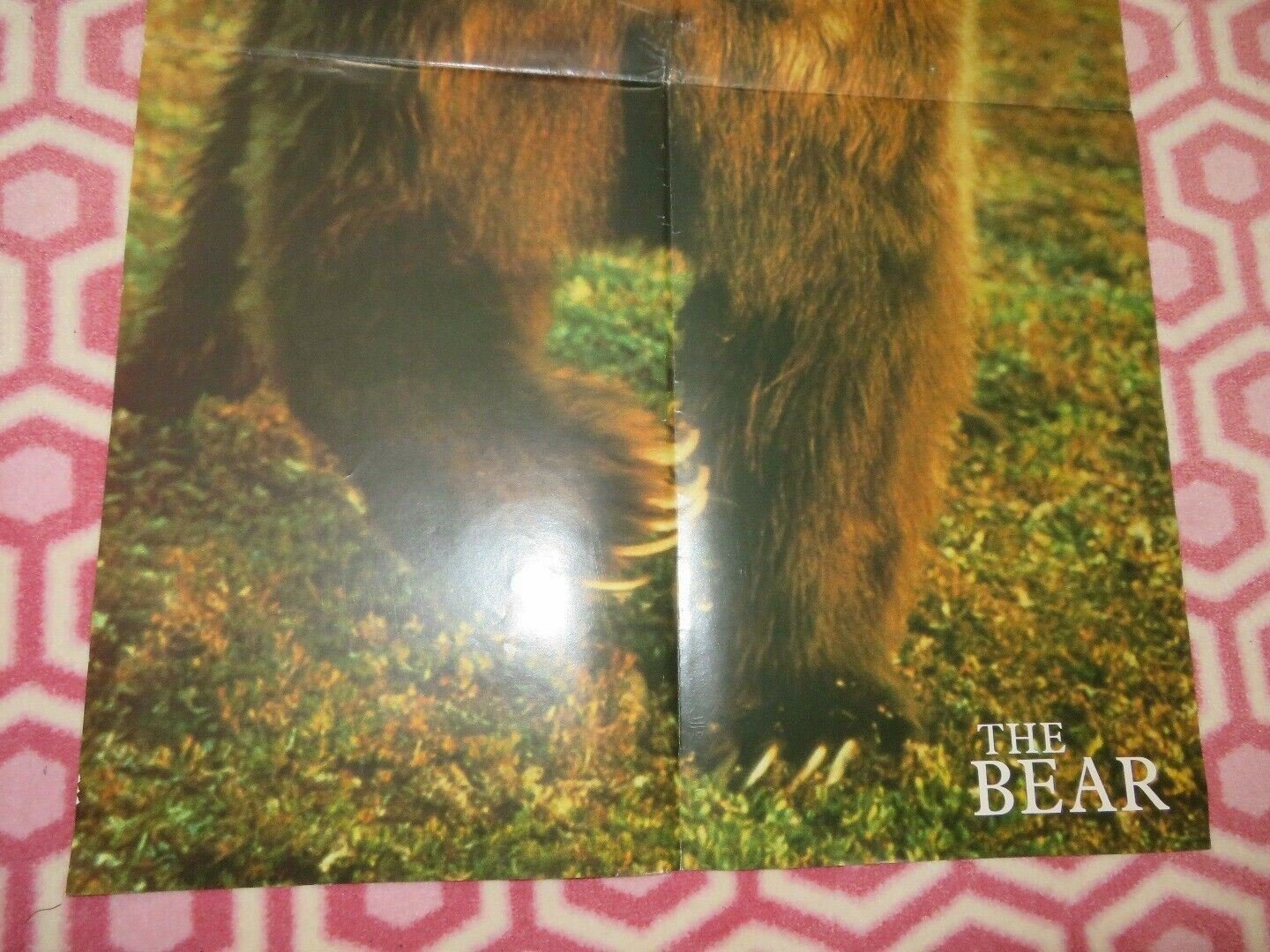 THE BEAR UK DOUBLE CROWN POSTER JACK WALLACE 1988 Rendezvous Cinema Movie posters