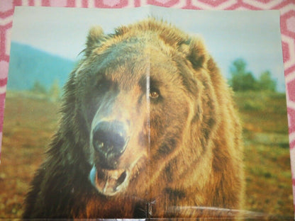 THE BEAR UK DOUBLE CROWN POSTER JACK WALLACE 1988 Rendezvous Cinema Movie posters