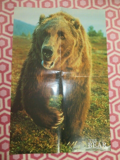 THE BEAR UK DOUBLE CROWN POSTER JACK WALLACE 1988 Rendezvous Cinema Movie posters