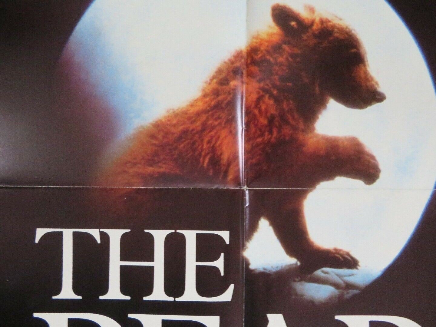THE BEAR US ONE SHEET POSTER JACK WALLACE 1988 Movie posters