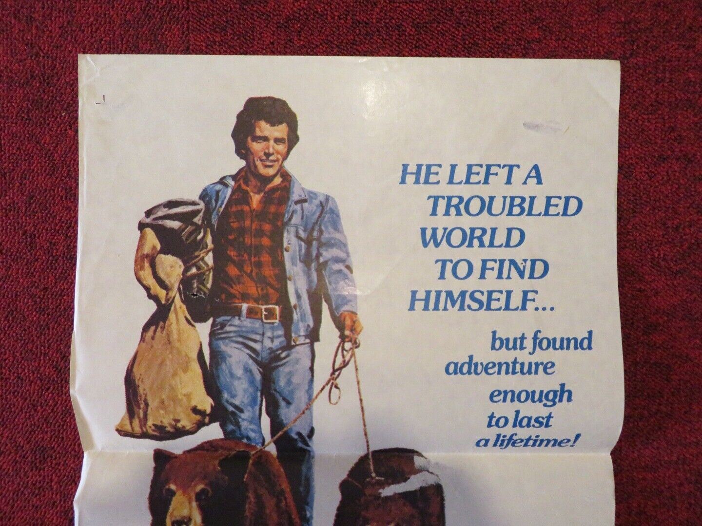 THE BEARS AND I FOLDED AUSTRALIAN DAYBILL POSTER DISNEY PATRICK WAYNE 1974 Movie posters