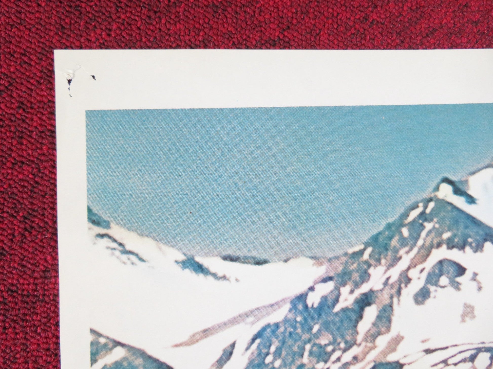 THE BEARS AND I FOLDED US ONE SHEET POSTER PATRICK WAYNE CHIEF DAN GEORGE 1974 Rendezvous Cinema Movie posters