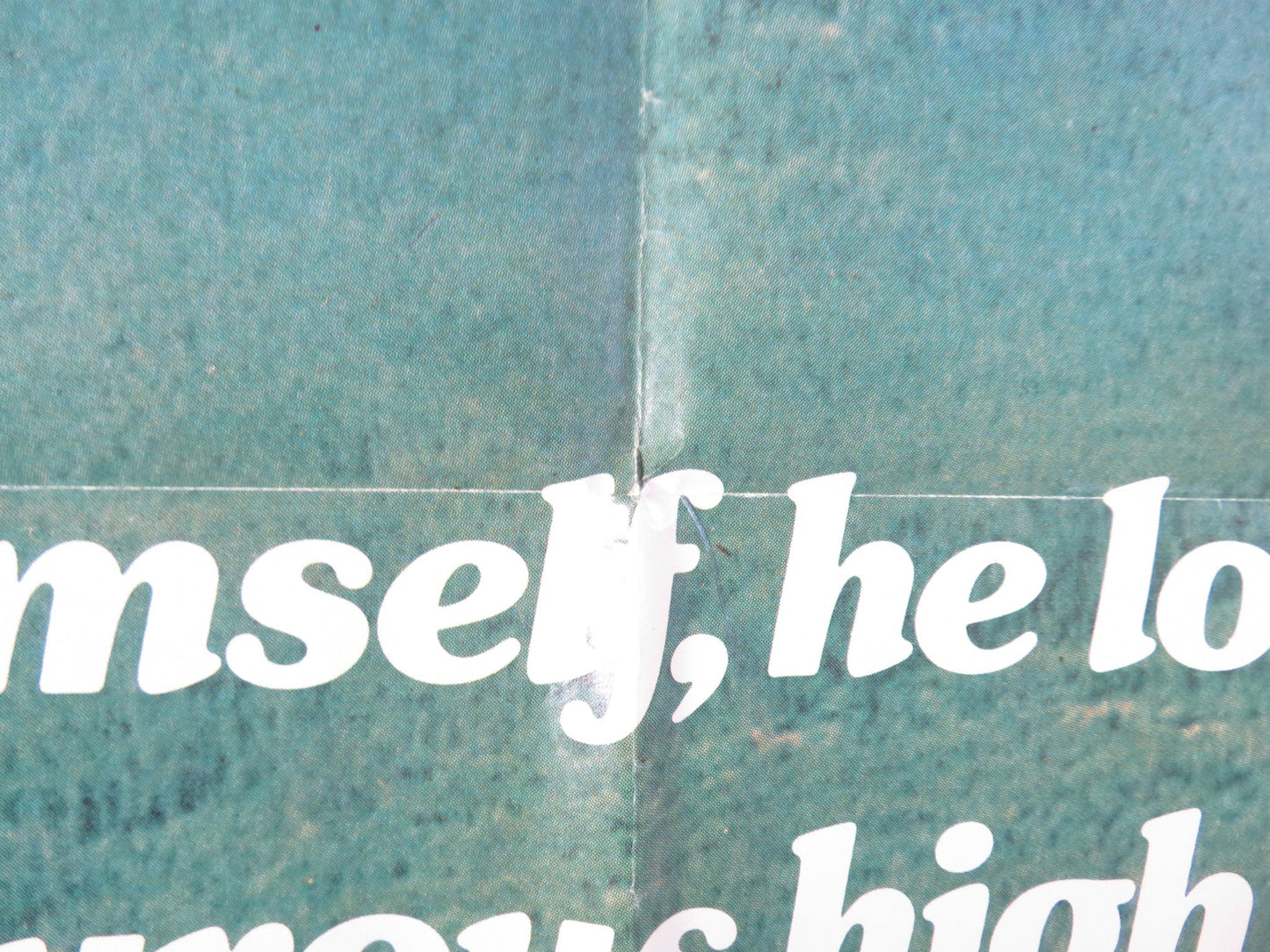 THE BEARS AND I FOLDED US ONE SHEET POSTER PATRICK WAYNE CHIEF DAN GEORGE 1974 Rendezvous Cinema Movie posters