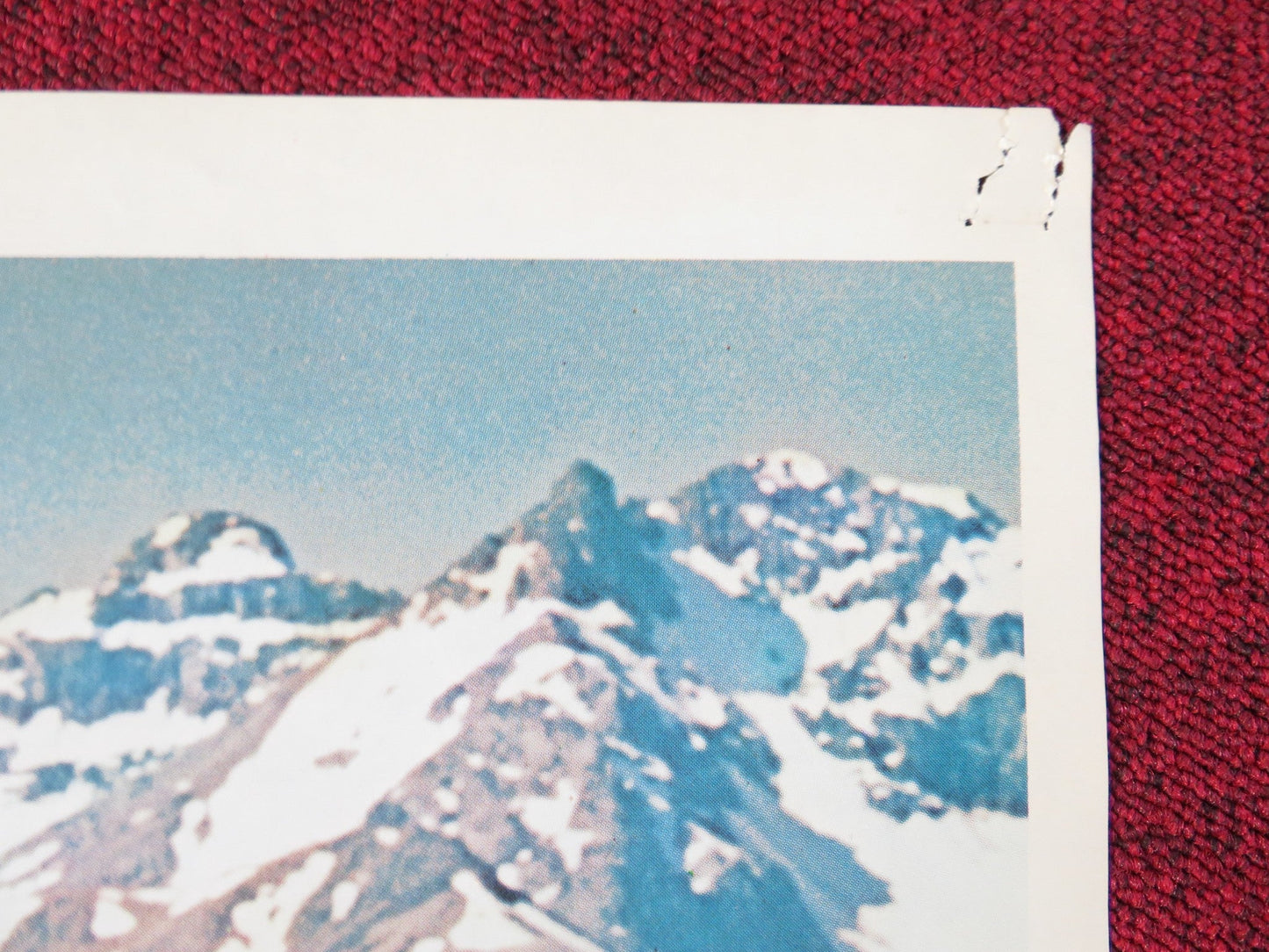 THE BEARS AND I FOLDED US ONE SHEET POSTER PATRICK WAYNE CHIEF DAN GEORGE 1974 Rendezvous Cinema Movie posters