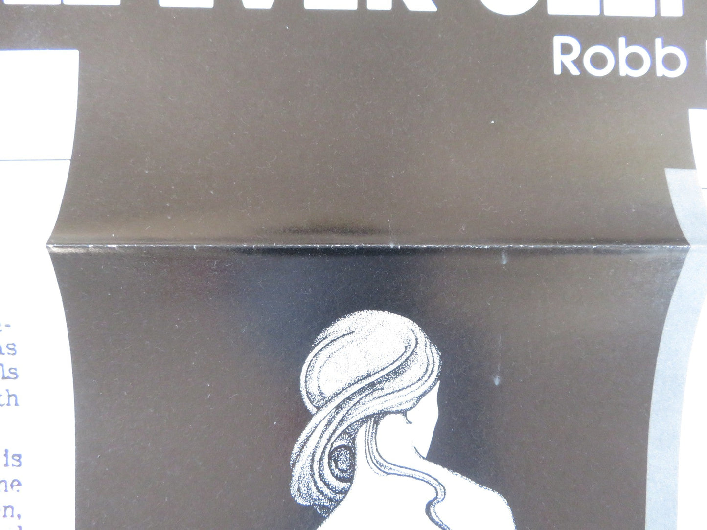 THE BEAST US TRI FOLDED ONE SHEET ROLLED POSTER SIRPA LANE LISBETH HUMMEL 1975 Rendezvous Cinema Movie posters