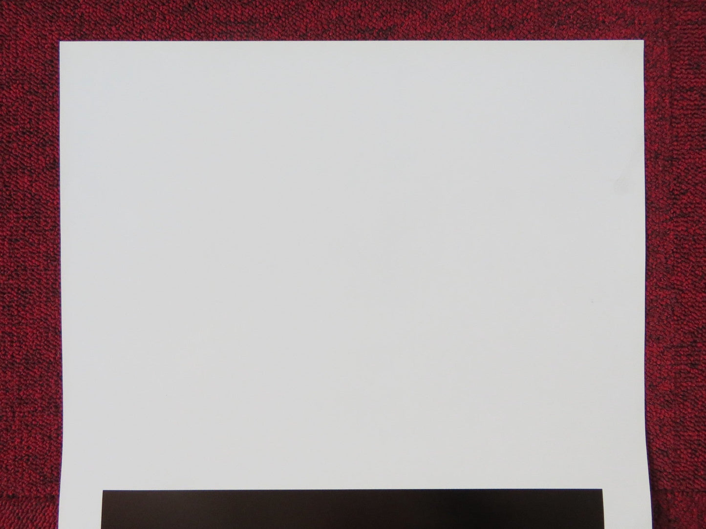 THE BELIEVERS ITALIAN LOCANDINA POSTER MARTIN SHEEN HELEN SHAVER 1987 Rendezvous Cinema Movie posters