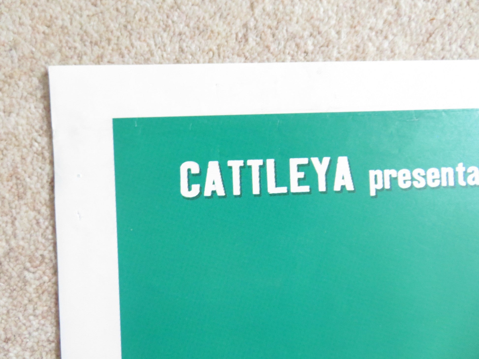 THE BEST DAY OF MY LIFE ITALIAN 2 FOGLIO POSTER VIRNA LISI MARGHERITA BUY 2002 Rendezvous Cinema Movie posters