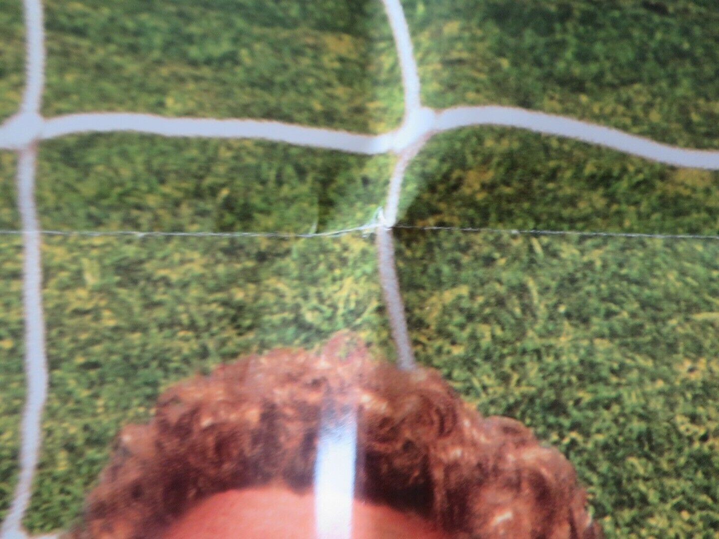 THE BIG GREEN FOLDED US ONE SHEET POSTER DISNEY 1995 Movie posters