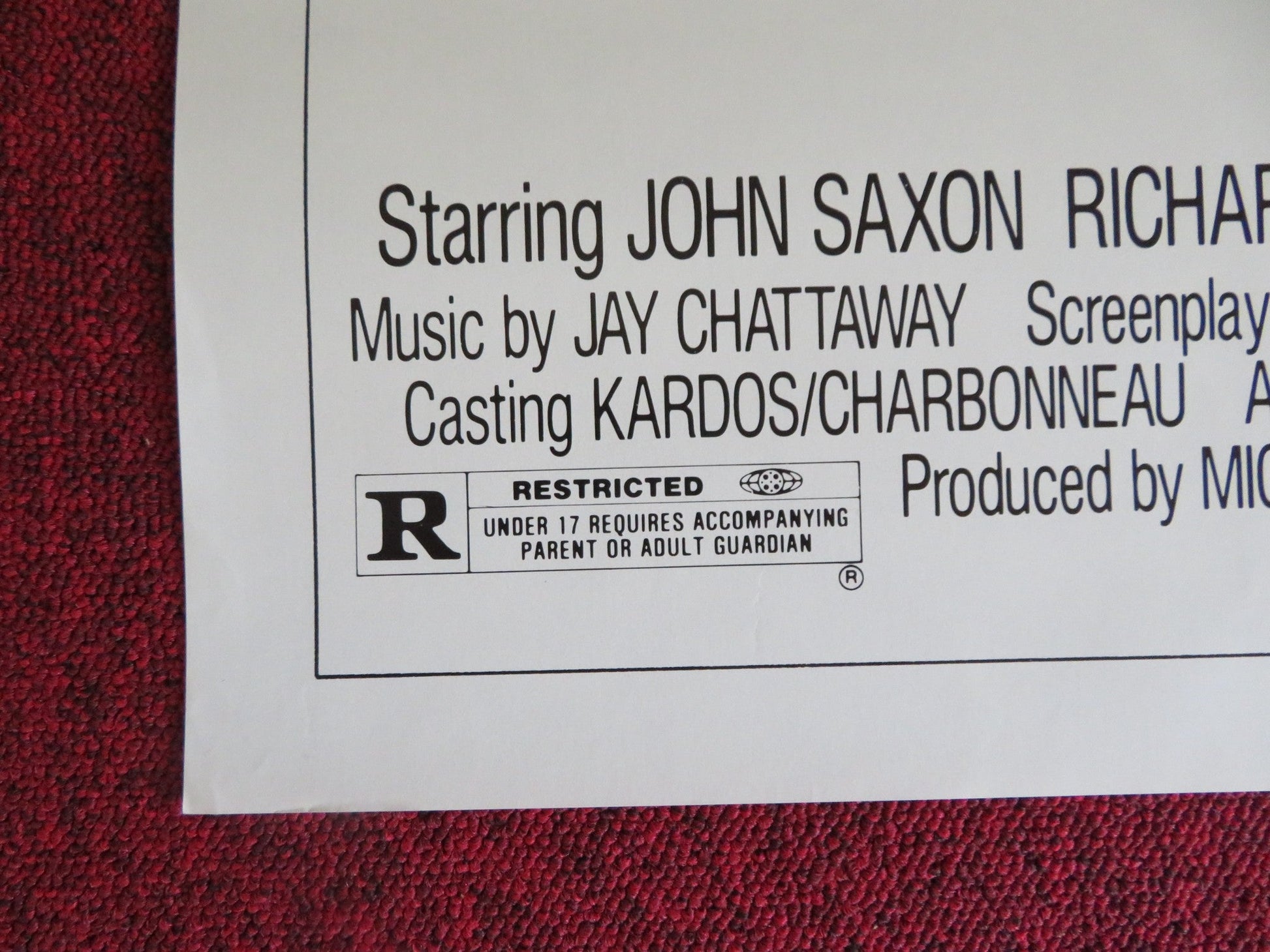 THE BIG SCORE US ONE SHEET ROLLED POSTER FRED WILLIAMSON NANCY WILSON 1983 Rendezvous Cinema Movie posters