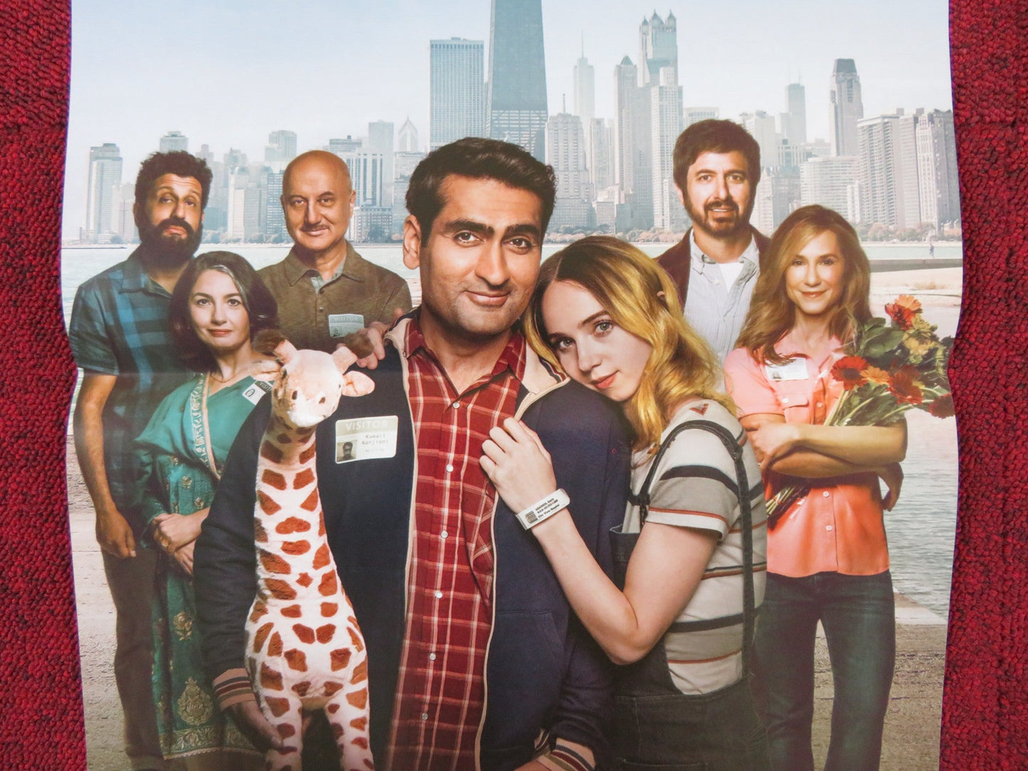 THE BIG SICK ITALIAN LOCANDINA POSTER KUMAIL NANJIANI ZOE KAZAN 2017 Rendezvous Cinema Movie posters