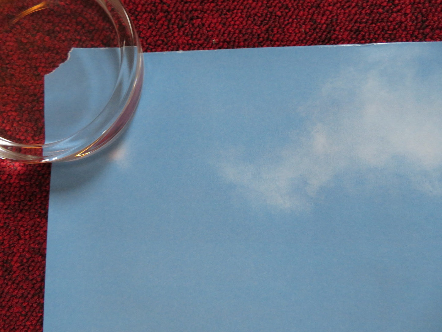 THE BIG YEAR UK QUAD (30"x 40") ROLLED POSTER STEVE MARTIN JACK BLACK 2011 Rendezvous Cinema Movie posters