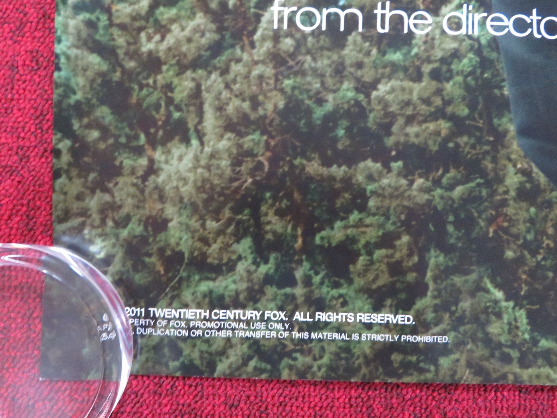 THE BIG YEAR UK QUAD (30"x 40") ROLLED POSTER STEVE MARTIN JACK BLACK 2011 Rendezvous Cinema Movie posters