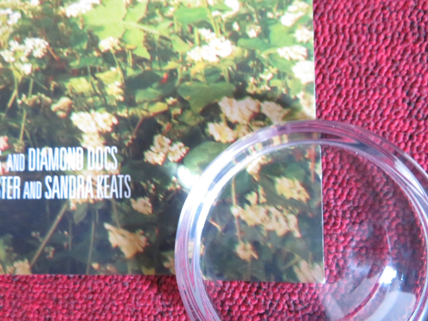 THE BIGGEST LITTLE FARM US ONE SHEET ROLLED POSTER JOHN CHESTER CHESTER 2018 Rendezvous Cinema Movie posters