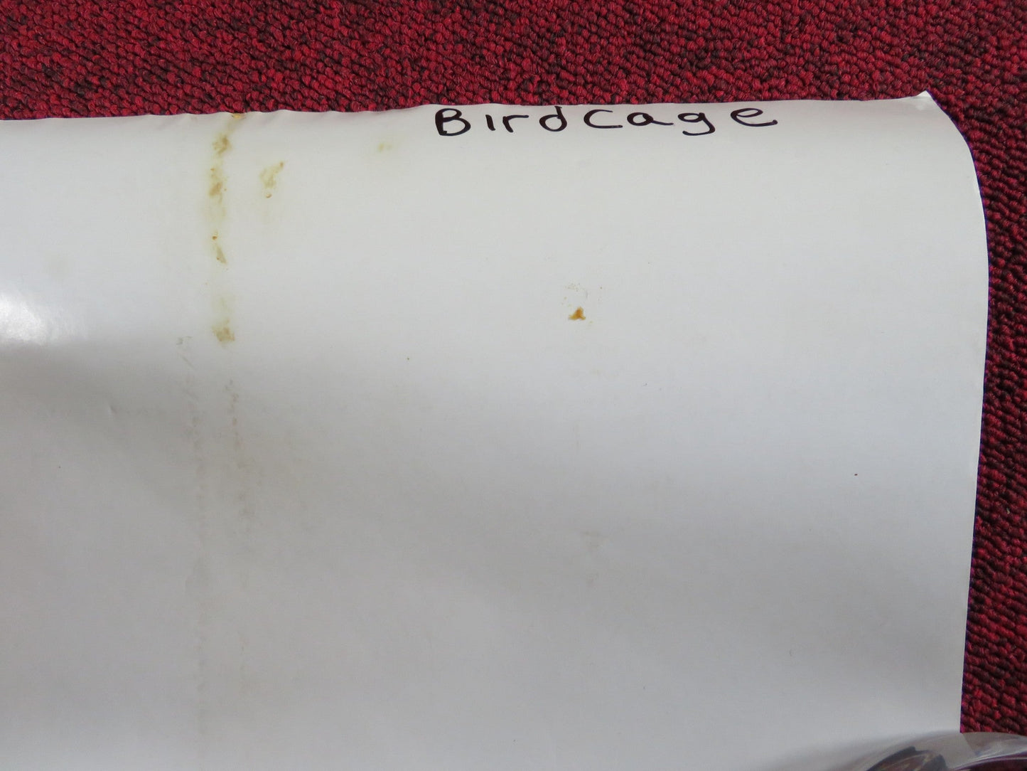 THE BIRDCAGE US ONE SHEET ROLLED POSTER ROBIN WILLIAMS GENE HACKMAN 1996 Rendezvous Cinema Movie posters