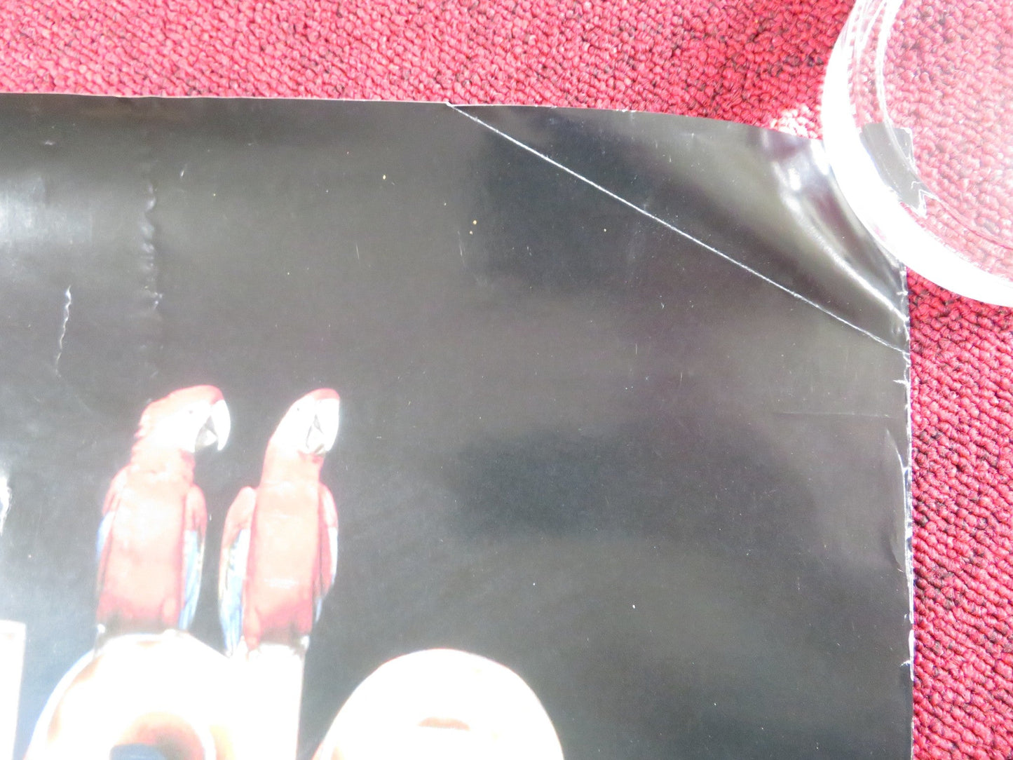 THE BIRDCAGE US ONE SHEET ROLLED POSTER ROBIN WILLIAMS GENE HACKMAN 1996 Rendezvous Cinema Movie posters