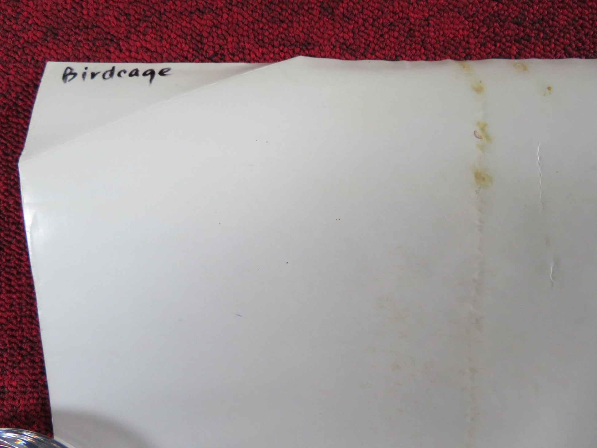 THE BIRDCAGE US ONE SHEET ROLLED POSTER ROBIN WILLIAMS GENE HACKMAN 1996 Rendezvous Cinema Movie posters