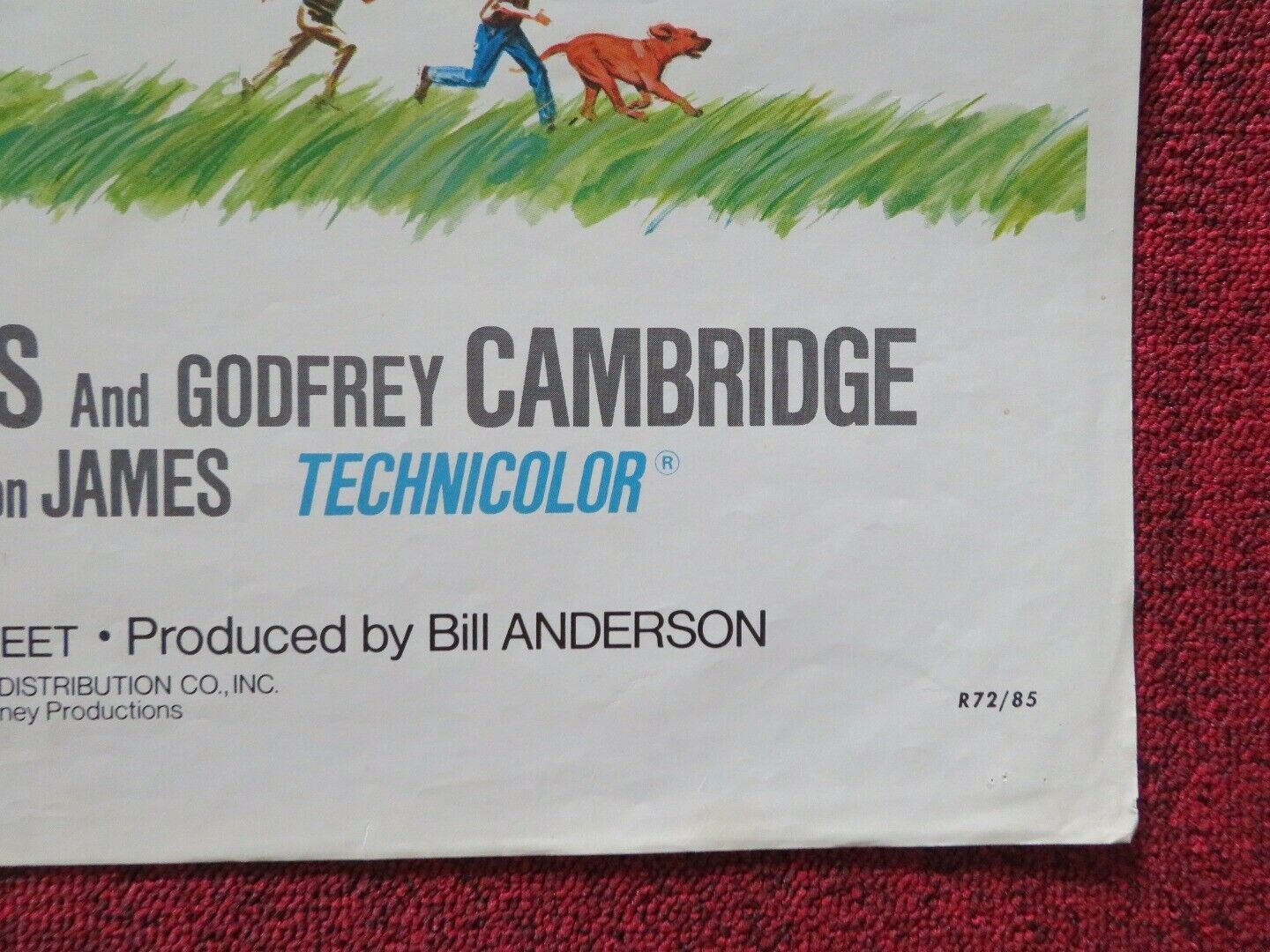 THE BISCUIT EATER FOLDED US ONE SHEET POSTER DISNEY EARL HOLLIMAN 1972 Movie posters