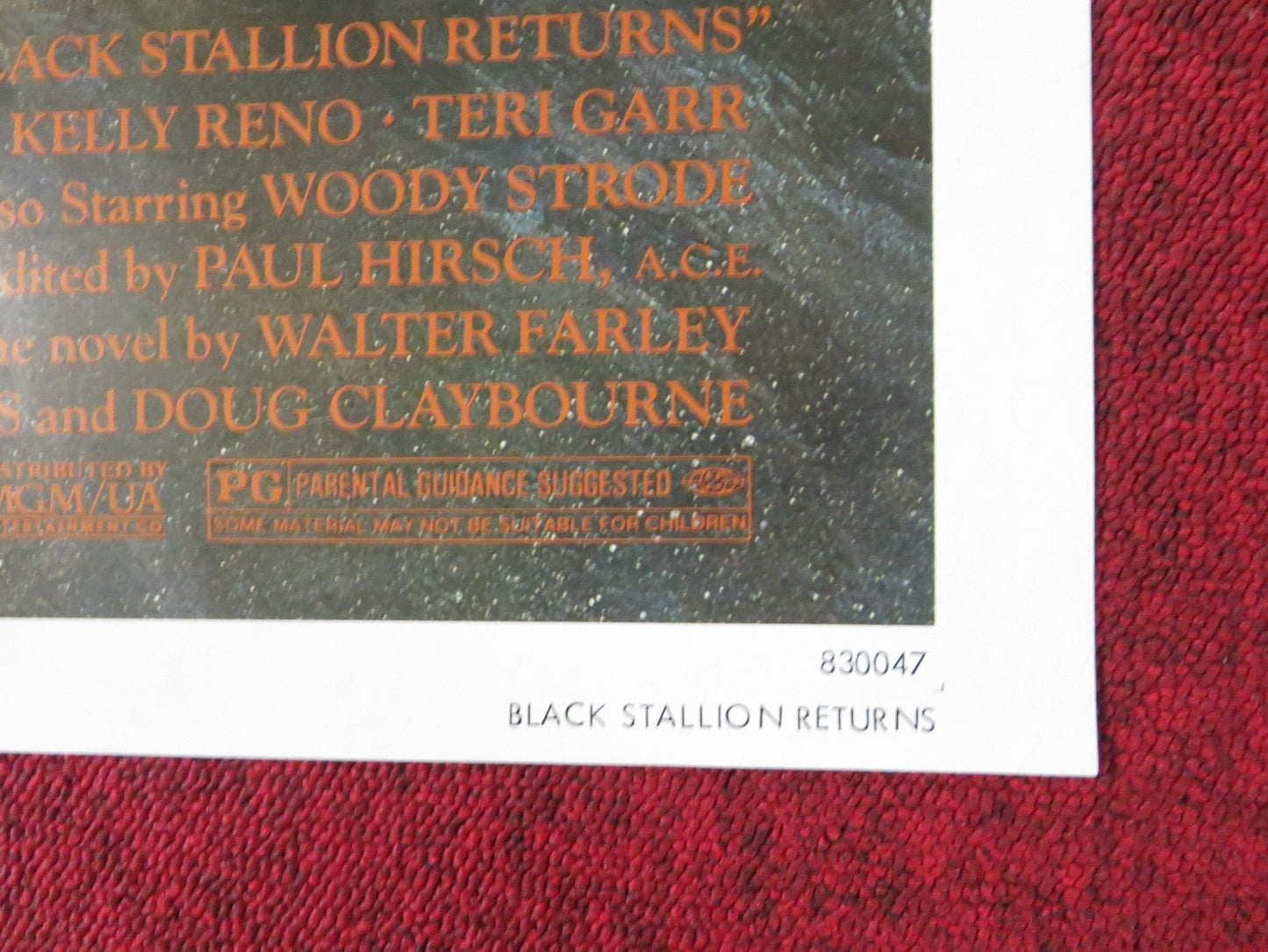 THE BLACK STALLION RETURNS FOLDED US ONE SHEET POSTER KELLY RENO V. SPANO 1983 Rendezvous Cinema Movie posters
