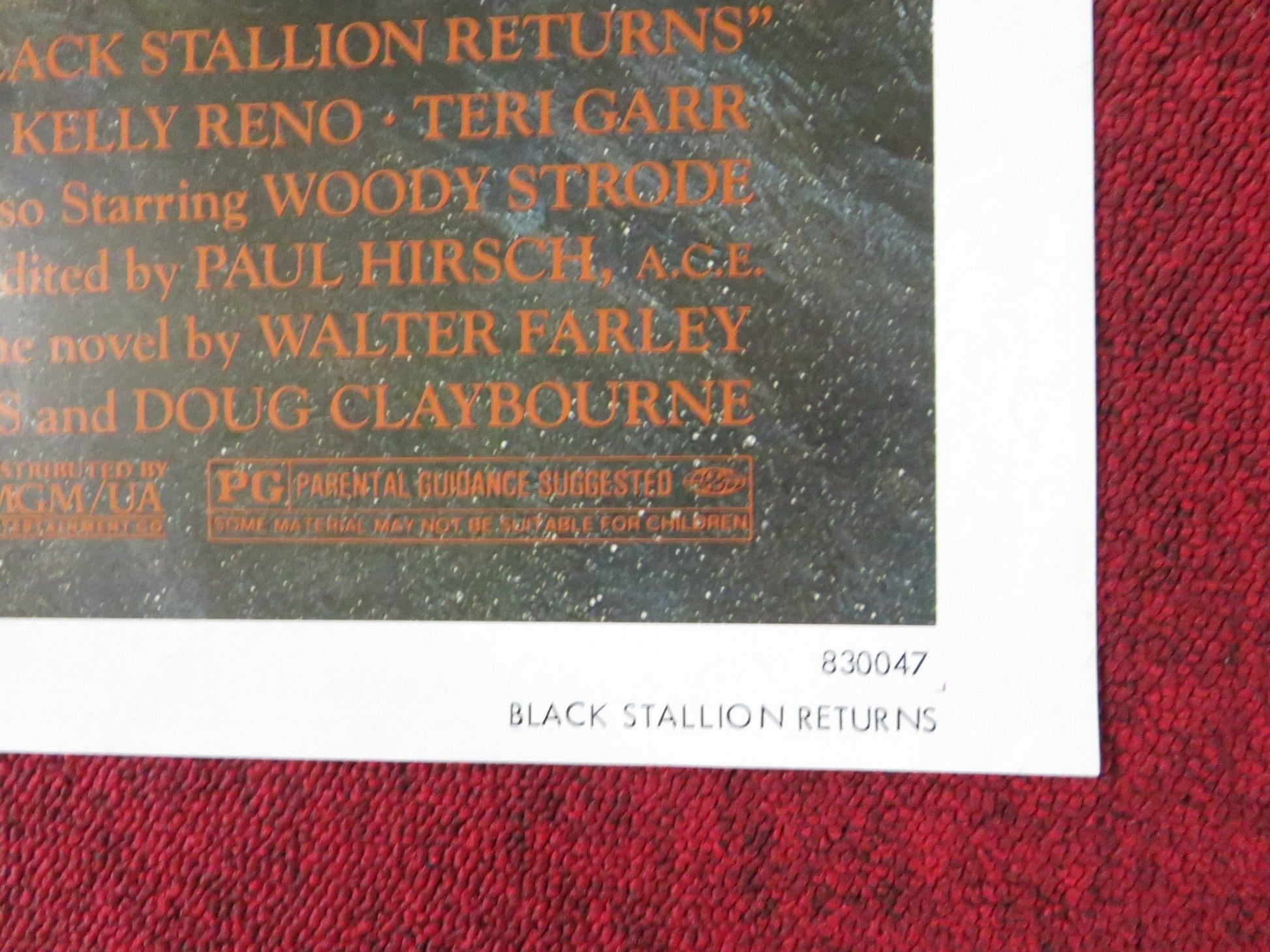 THE BLACK STALLION RETURNS FOLDED US ONE SHEET POSTER KELLY RENO V. SPANO 1983 Rendezvous Cinema Movie posters