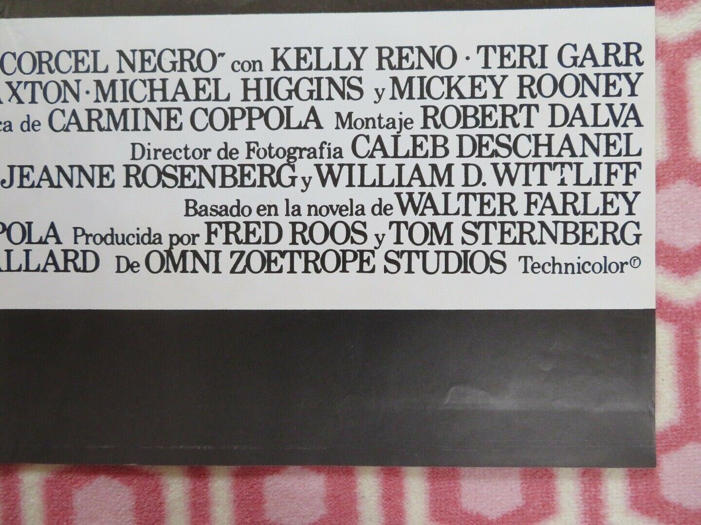 THE BLACK STALLION SPANISH (38.5"X 27") ROLLED POSTER KELLY RENO MICKEY ROONEY Movie posters