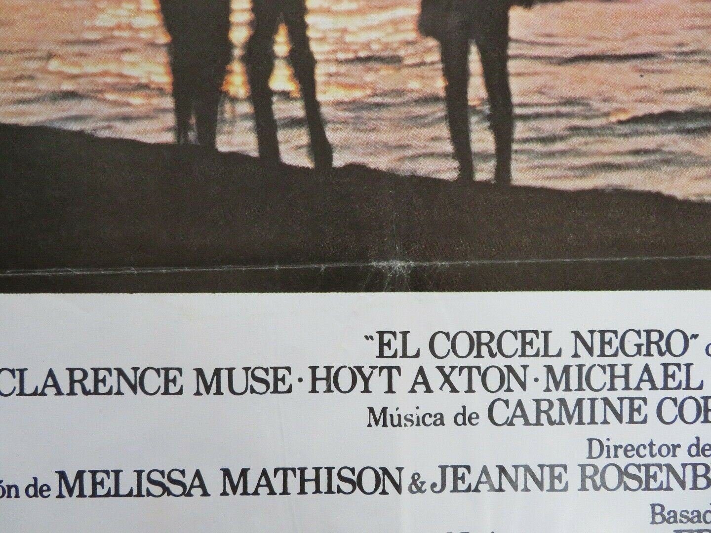 THE BLACK STALLION SPANISH (38.5"X 27") ROLLED POSTER KELLY RENO MICKEY ROONEY Movie posters